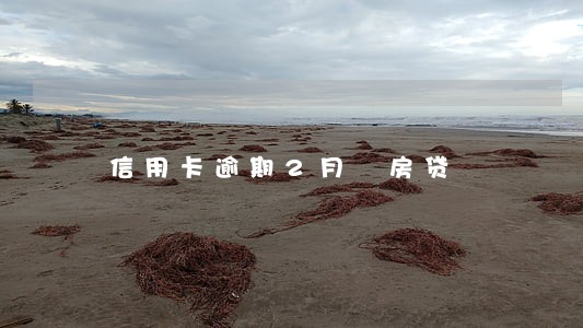 信用卡逾期2月 房贷 信用卡逾期2月 房贷